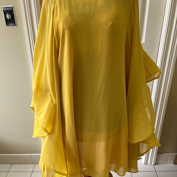 Beautiful Chiffon Dress or Top - Picture 2 of 8